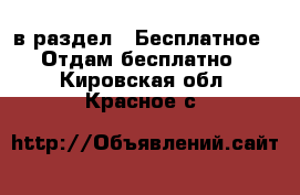  в раздел : Бесплатное » Отдам бесплатно . Кировская обл.,Красное с.